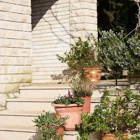 Villa Claudia Lemon Appartment Premantura Exterior photo